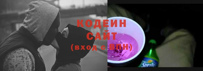 купить наркотик  Александровск-Сахалинский  MEGA tor  Codein Purple Drank 